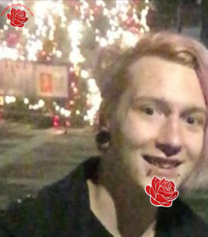 Connor Nash  – profile image
